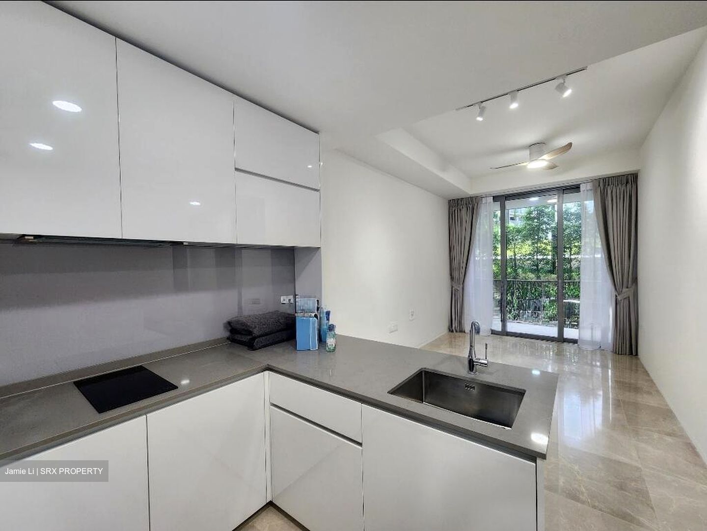 Amber Park (D15), Condominium #517516491